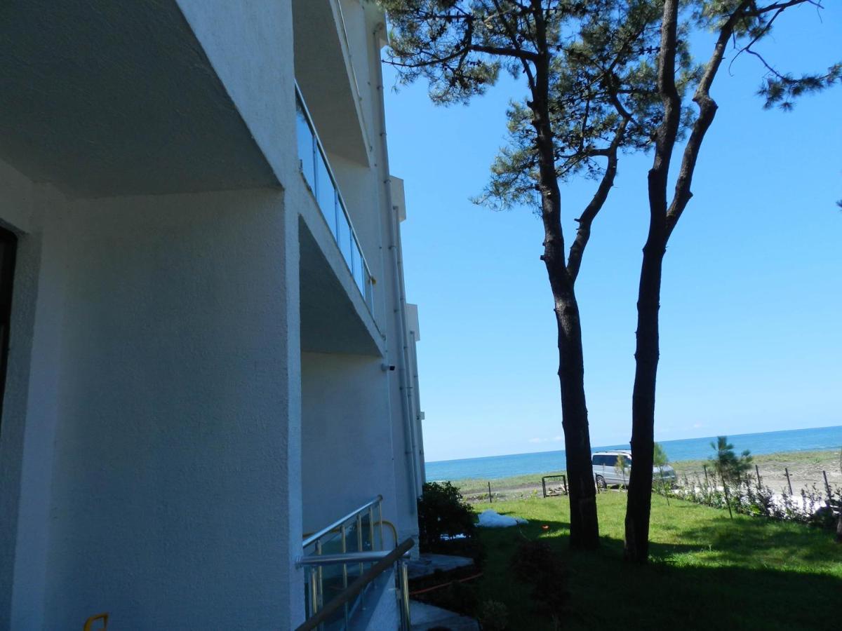 Hotel Scala Shekhvetili Luaran gambar