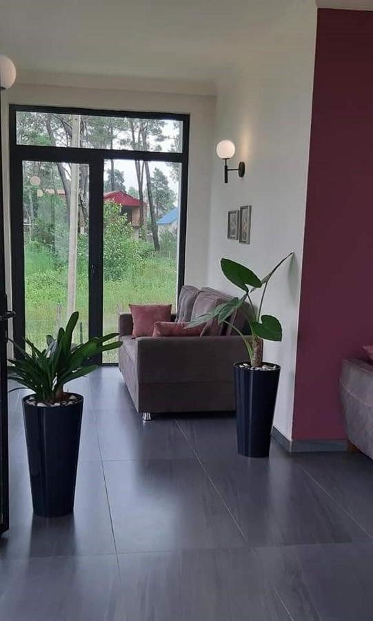 Hotel Scala Shekhvetili Luaran gambar